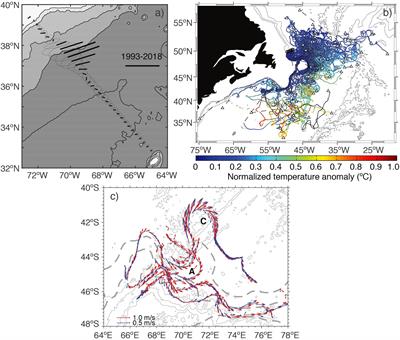 The Scientific and Societal Uses of Global Measurements of Subsurface Velocity